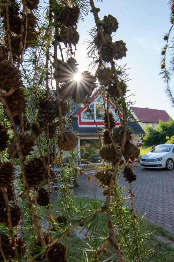 Ferienhaus Goermer Mit Wasserbett Schmölln Dış mekan fotoğraf